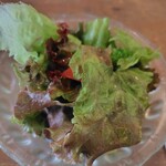 ニムカフェ - サラダはどちらにもついてきます