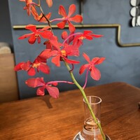 District Brasserie, Bar, Lounge - 