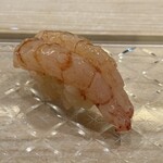 鮨 なんば - 甘海老