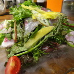 タケル クインディチ - 真鯛、真鯵、カンパチのカルパッチョ・サラダ仕立て