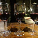 タケル クインディチ - 赤ワイン3種のテイスティングセット