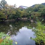 未在 - 丸山公園内にお店があります