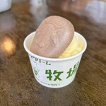 コートクコラール - 