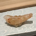 鮨菜 和喜智 - 礼文島　牡丹海老