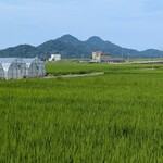 大仙家 - ホテル周辺　雲がなければ富士山も見えます