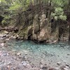 竜のコバ - 