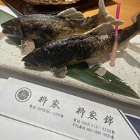 柳家錦 - 