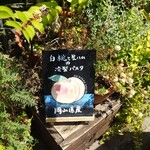 ポケット ガーデン - 