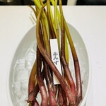 Stanza della SINCERITA - 