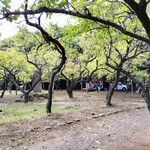 茶処てんてん - 