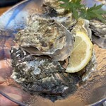 きんちゃく家 - 