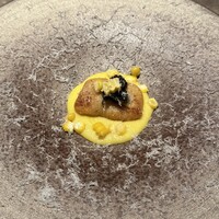 TOSAGE - 