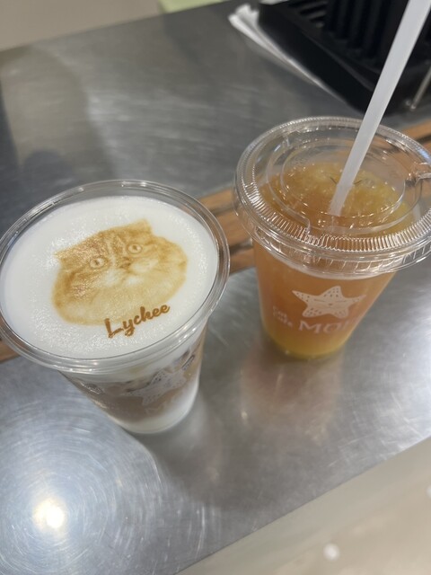 Cat Cafe MOFF Ionmoru Nagoyadomu Maeten photo 2