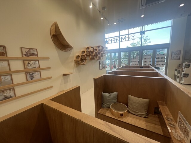 Cat Cafe MOFF Ionmoru Nagoyadomu Maeten photo 5