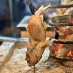 炉端とおでん おじょうさん - 