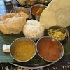 南インド料理店 ボーディセナ