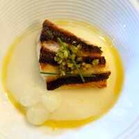 小笠原伯爵邸 - 魚：イサキのプランチャ 冬瓜 バンデリージャ〈Condesa〉