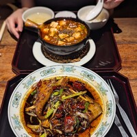 雪梅花 菜根譚 - 