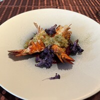 GLICINE di ACQUA PAZZA - 