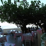 Hau Tree Lanai Restaurant - 