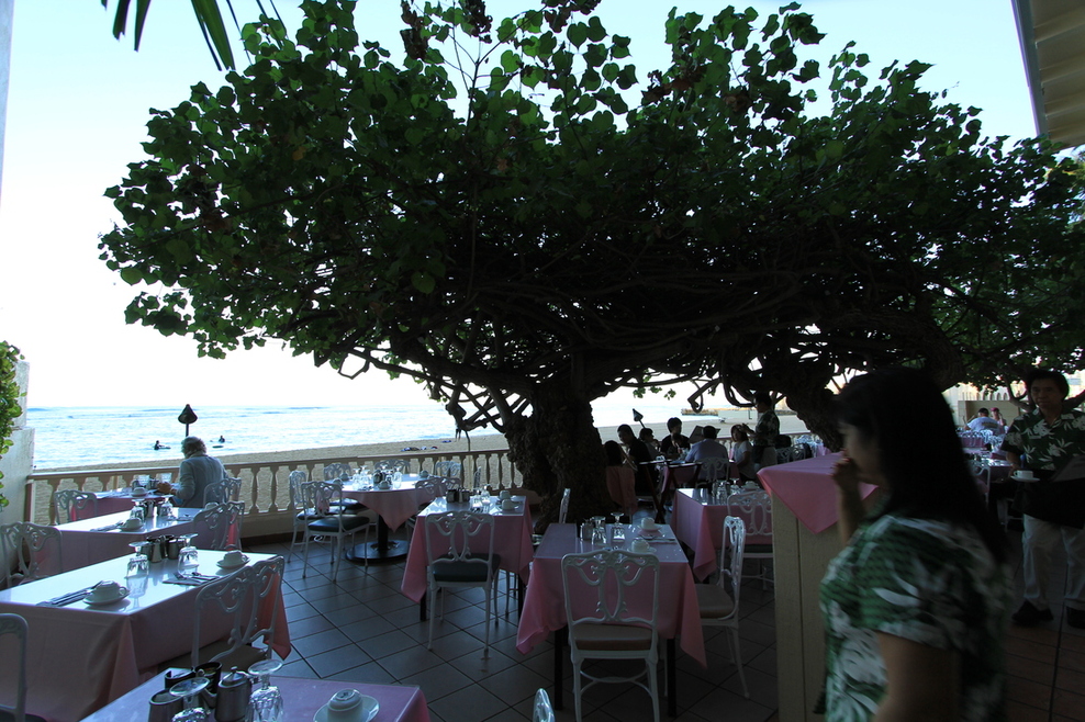 油絵 マミ ハワイのハウツリーラナイCafeで レストラン ハワイ