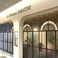 La Terrazza SABATINI - 