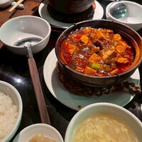 雪梅花 菜根譚 - 