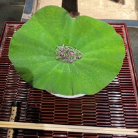 肉匠なか田 本店 - 