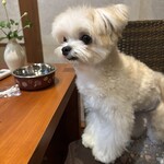 湯富里の宿 一壷天 - 