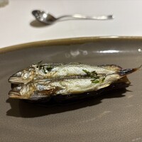 ヤマガタ サンダンデロ - 