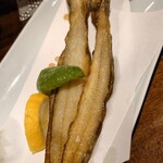 松江の台所 こ根っこや - 