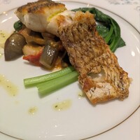 Romiele da REGA - 