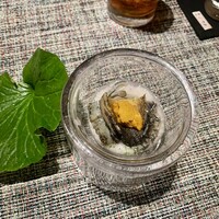 福島 もう利 - 