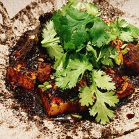 CINA New Modern Chinese - 