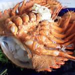 SAKURAGUMI - インサラーダディマーレ　ゾウリ海老裏返して　アップ