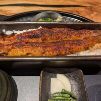 うなぎ四代目菊川 ミッドランドスクエア 名古屋本店 - 