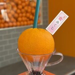 鎌倉生搾り果汁おれんじーる - 