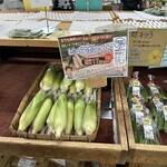 松阪農業公園ベルファーム - 