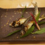 貴山 - 京都由良川の鮎