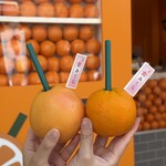 鎌倉生搾り果汁おれんじーる - 