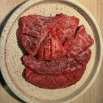炭火焼肉 肉の匠 ひうち - マルカワ・シンシン・カメノコ
