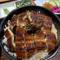 うなぎ料理 澤正 - 