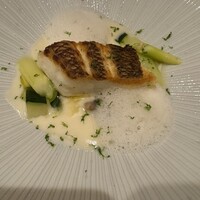 Restaurant つじ川 - 