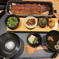 うなぎ四代目菊川 ヒルトンプラザウエスト大阪店 - 