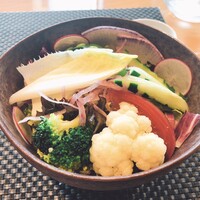 WASHOKU 蒼天  - 