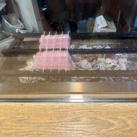 うなぎ 目白ぞろ芽 - 