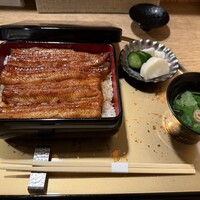 うなぎ 目白ぞろ芽 - 