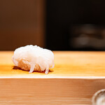 鮨 はしもと - 白烏賊