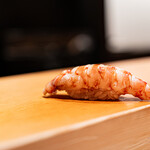 鮨 はしもと - 車海老