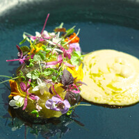 Restaurant Bellustar - ランチコース 8000円 の蝦夷鮑と寺島茄子 トマトジュレ